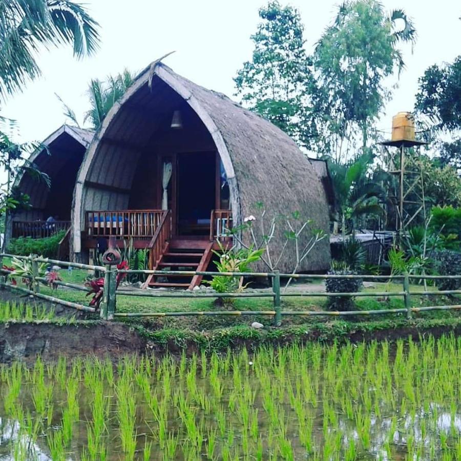 Hakiki Inn Bungalows Tetebatu Esterno foto