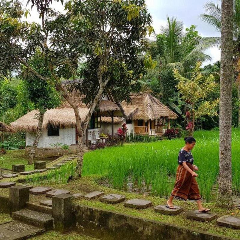 Hakiki Inn Bungalows Tetebatu Esterno foto
