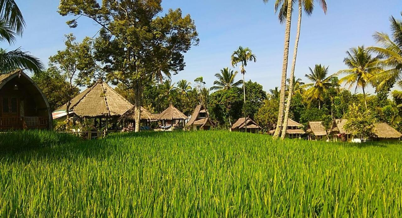 Hakiki Inn Bungalows Tetebatu Esterno foto
