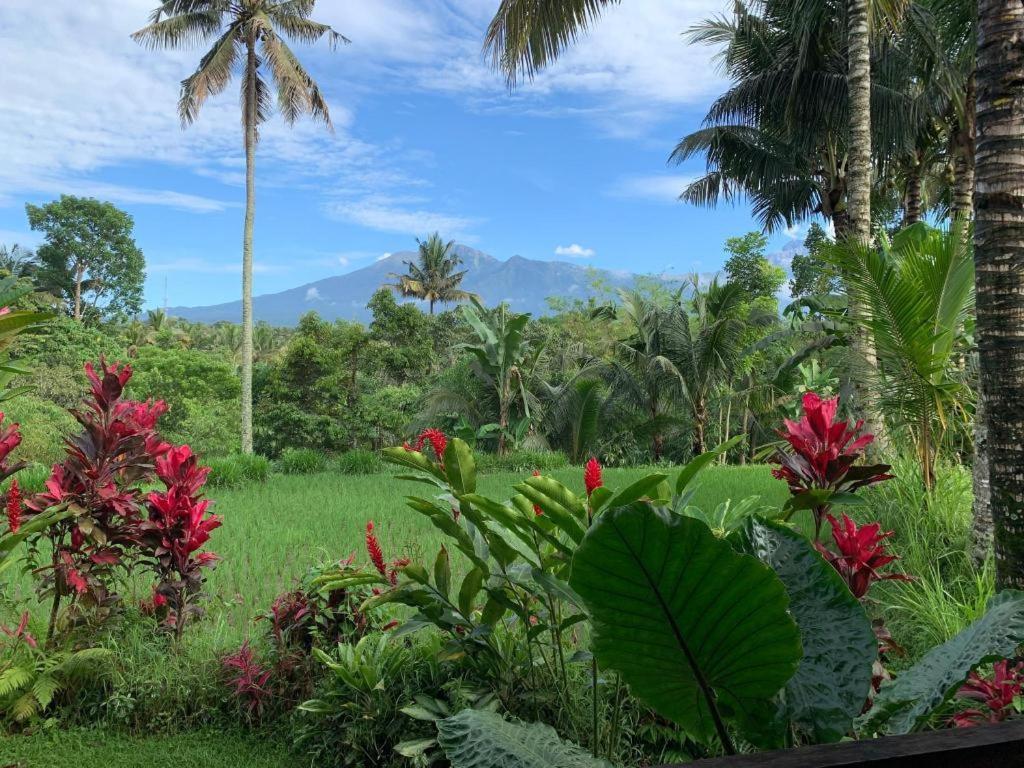 Hakiki Inn Bungalows Tetebatu Esterno foto